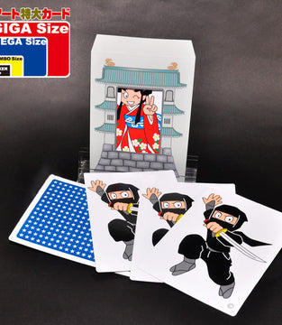 ADVENTURE OF TOMBOY PRINCESS