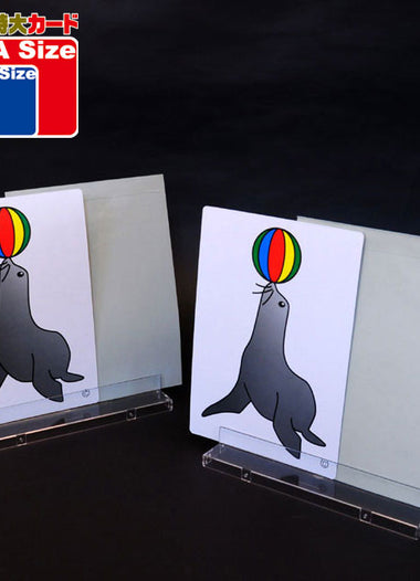 SEA LION TRAINER