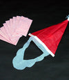 PAPER TO SANTA #10